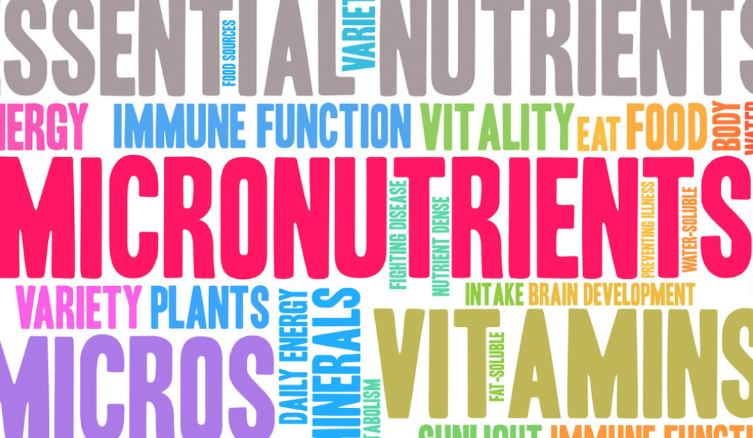 Micronutrients: Types, Functions, Benefits, and More